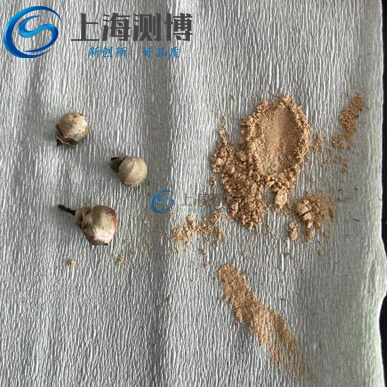低溫破壁新突破！冷凍研磨儀解鎖山茶花活性成分高效提取密碼