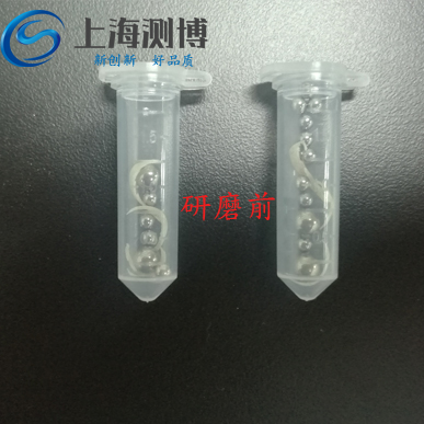 指甲是怎樣利用冷凍研磨儀來提取DNA的？