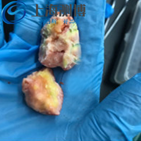 實(shí)驗(yàn)人員在研磨番茄時采用冷凍研磨儀效果如何？能成功嗎？