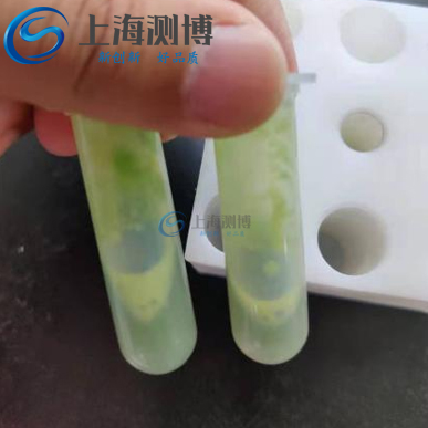 冷凍研磨儀進行定量水稻葉片研磨實驗|浙江大學(xué)