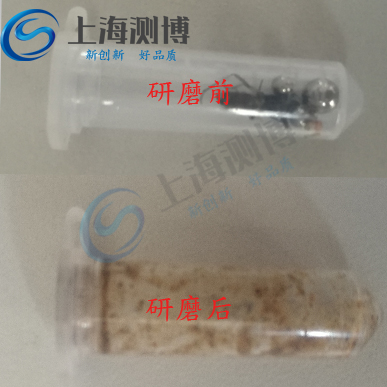 臭蟲研磨提取核酸實(shí)驗(yàn)-多樣品組織研磨機(jī)-上海測(cè)博