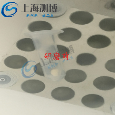 多樣品組織研磨儀能提取玉米DNA嗎？其研磨效果如何？